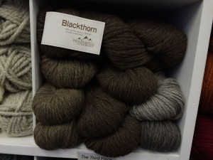 blackthorn