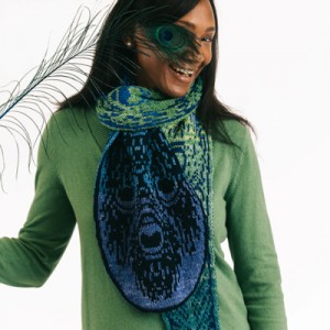 Fine Feather Shawl