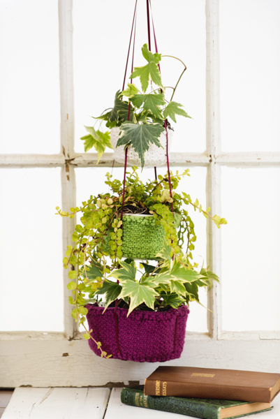 Botanical Bliss Hanging Baskets