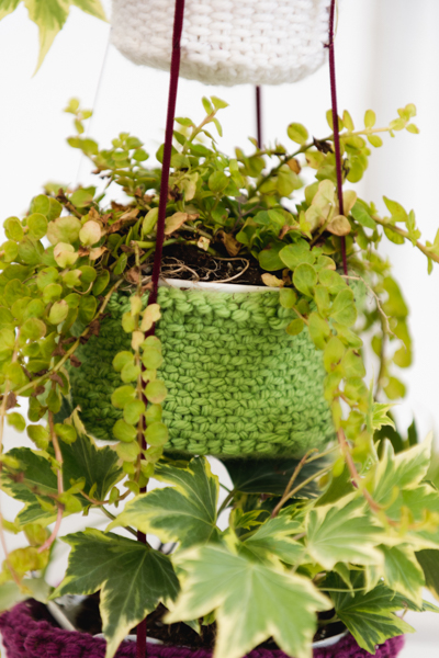 Botanical Bliss Hanging Baskets 2